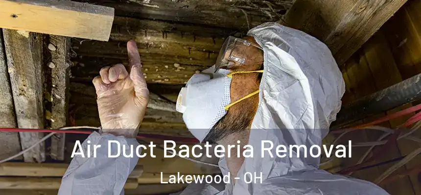  Air Duct Bacteria Removal Lakewood - OH