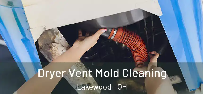  Dryer Vent Mold Cleaning Lakewood - OH