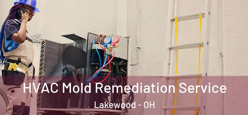  HVAC Mold Remediation Service Lakewood - OH