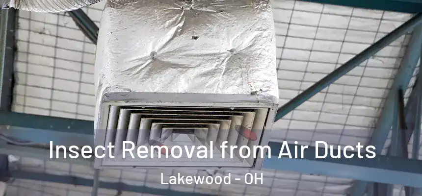  Insect Removal from Air Ducts Lakewood - OH