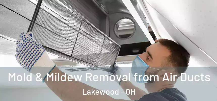 Mold & Mildew Removal from Air Ducts Lakewood - OH