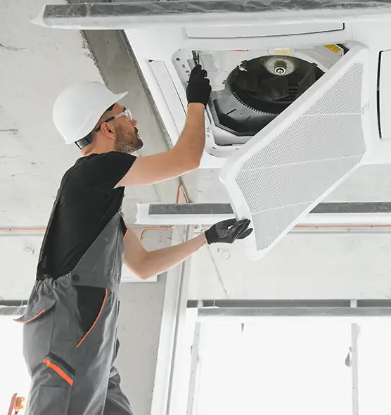 About Air Duct Rodent Removal in Lakewood, OH