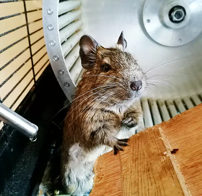 Why Homeowners & Businesses Trust Us Lakewood, OH